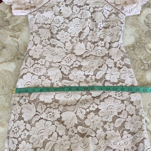 Vince Camuto Ballerina Pink Lace Sheath Dress - Picture 13 of 14